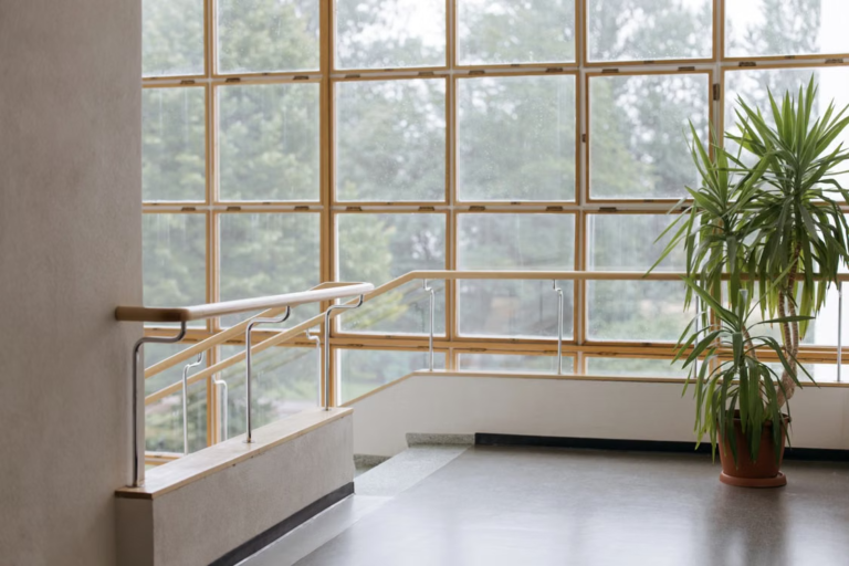 Home Needs New Windows