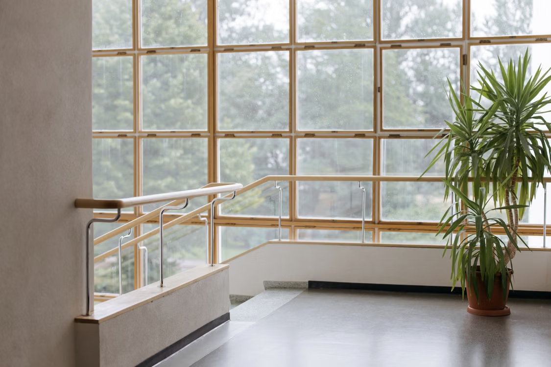 Home Needs New Windows
