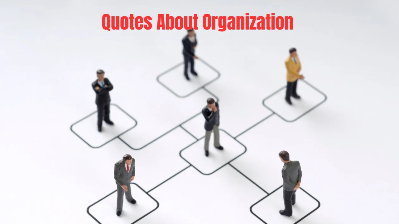 Quotes About Organization