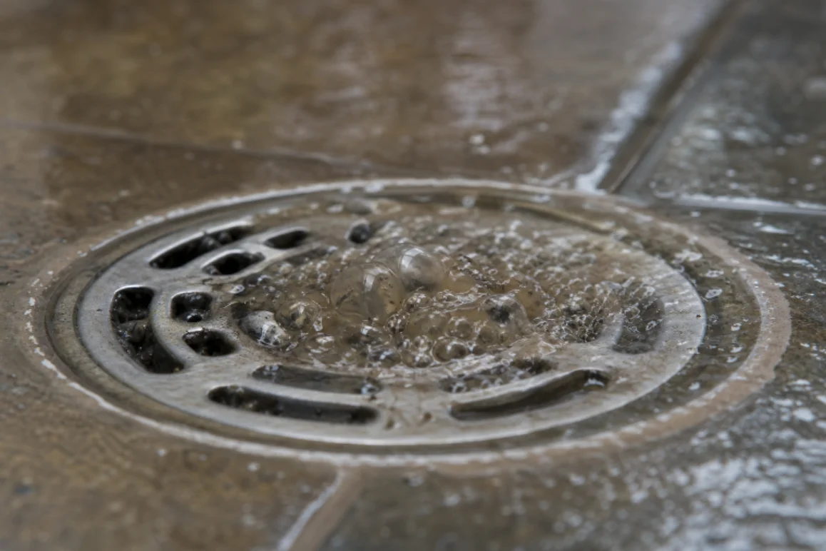 A Guide To Sewer Line Warning Signs And Safe Next Steps