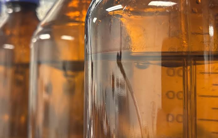 OECD 301B Testing Explained: Evaluating How Chemicals Break Down Under Aerobic Conditions